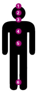 John Heron’s Six Dimensions of Facilitation Figure John Heron’s Six Dimensions of Facilitation Figure